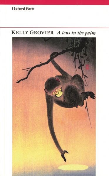Cover image for Lens in the Palm, A, isbn: 9781903039885