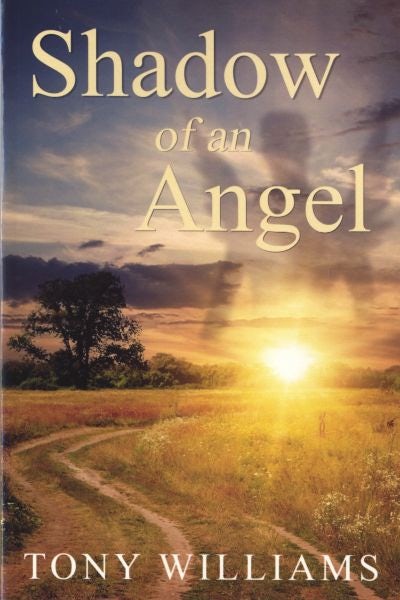 Cover image for Shadow of an Angel, isbn: 9781903490600
