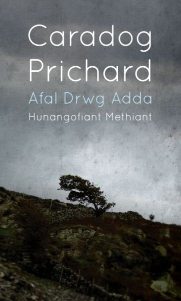 Cover image for Afal Drwg Adda, isbn: 9781904554158
