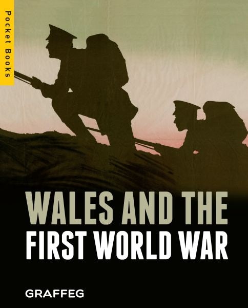 Cover image for Wales and the First World War (Pocket Books), isbn: 9781905582907