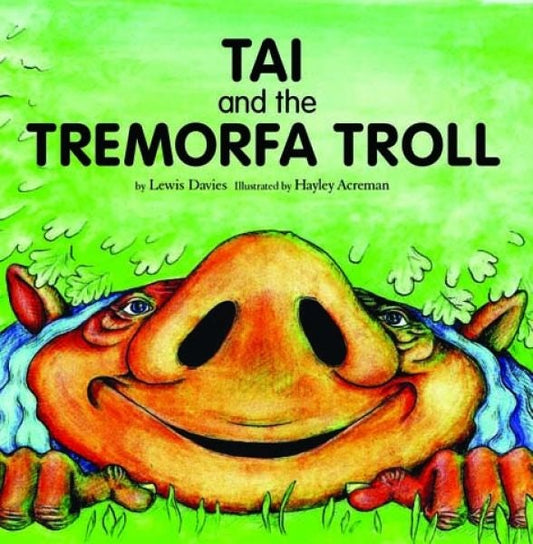 Cover image for Tai and the Tremorfa Troll, isbn: 9781905762484