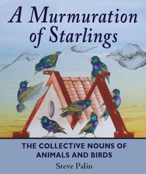 Cover image for Murmuration of Starlings, A, isbn: 9781906122546