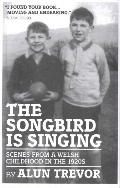 Cover image for The Songbird is Singing, isbn: 9781906998066