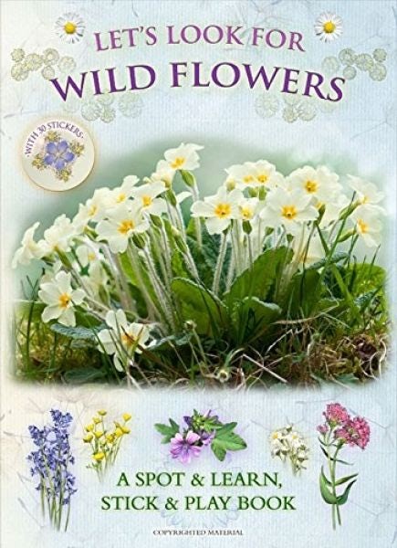Cover image for Let's Look for Wild Flowers - A Spot & Learn, Stick & Play Book, isbn: 9781908489067