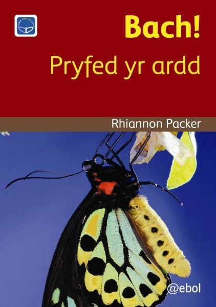 Cover image for Cyfres Darllen Difyr: Bach! - Pryfed yr ardd, isbn: 9781908574626