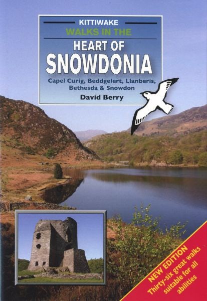 Cover image for Walks in the Heart of Snowdonia, isbn: 9781908748171