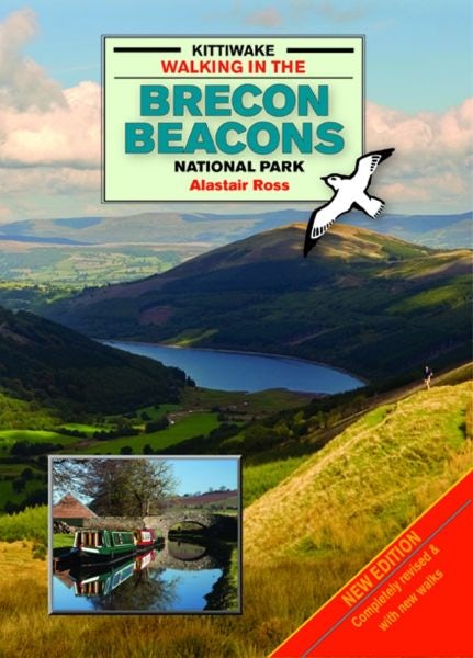 Cover image for Walking in the Brecon Beacons, isbn: 9781908748362