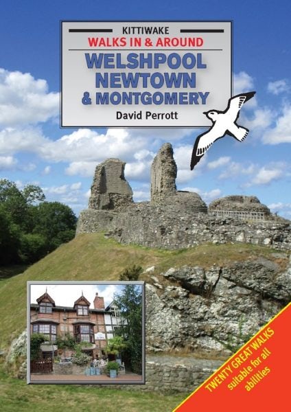 Cover image for Walking Around Welshpool, Newtown and Montgomery, isbn: 9781908748485