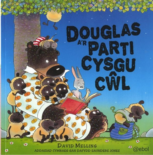 Cover image for Douglas a'r Parti Cysgu Cŵl, isbn: 9781909666900
