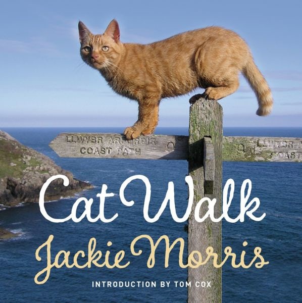 Cover image for Cat Walk, isbn: 9781909823273
