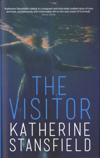 Cover image for Visitor, The, isbn: 9781909844094