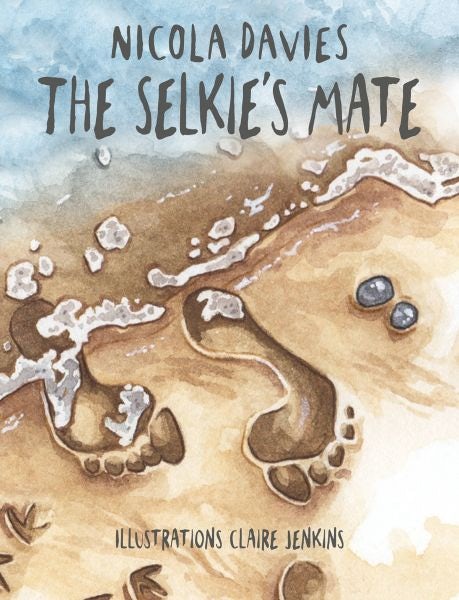 Cover image for Shadows and Light: The Selkie's Mate, isbn: 9781910862490