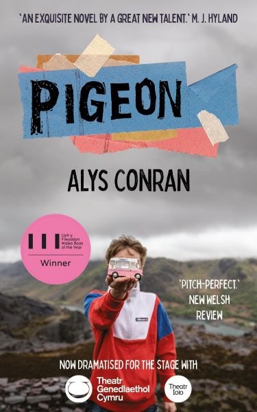 Cover image for Pigeon, isbn: 9781910901236