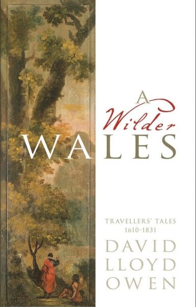 Cover image for Wilder Wales, A, isbn: 9781910901960