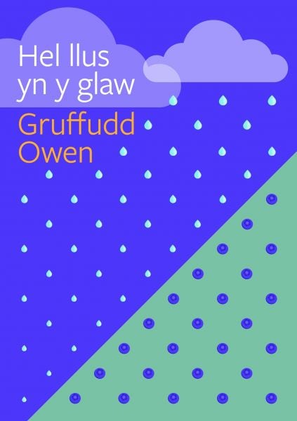 Cover image for Cyfres Tonfedd Heddiw: Hel Llus yn y Glaw, isbn: 9781911584438