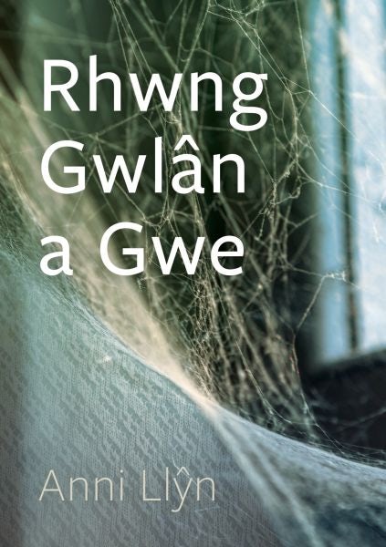 Cover image for Cyfres Tonfedd Heddiw : Anni Llŷn, isbn: 9781911584476