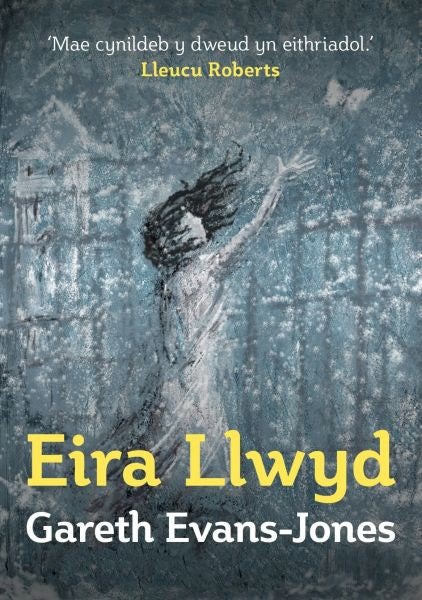 Cover image for Eira Llwyd, isbn: 9781912173136