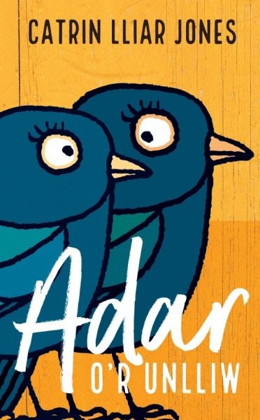 Cover image for Adar o'r Unlliw, isbn: 9781912173334