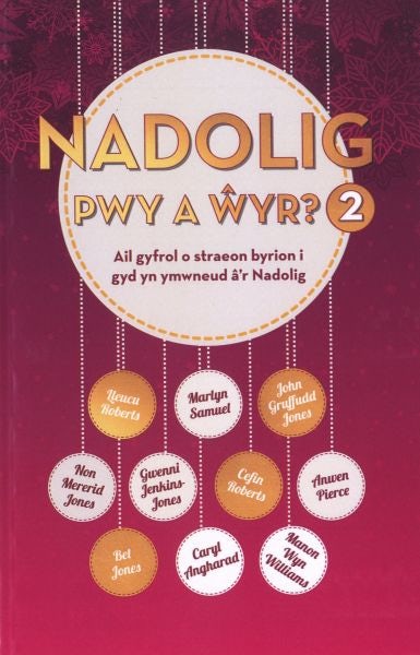 Cover image for Nadolig Pwy a Ŵyr 2, isbn: 9781912173525