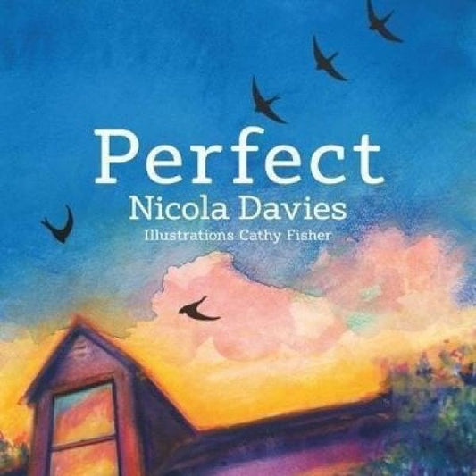 Cover image for Perfect, isbn: 9781912213498