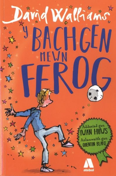 Cover image for Bachgen Mewn Ffrog, Y, isbn: 9781912261093