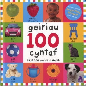 Cover image for 100 Geiriau Cyntaf/ First 100 Words in Welsh, isbn: 9781912261109