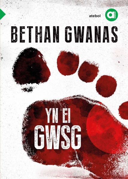 Cover image for Cyfres Amdani: Yn ei Gwsg, isbn: 9781912261307