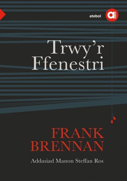 Cover image for Cyfres Amdani: Trwy'r Ffenestri, isbn: 9781912261437