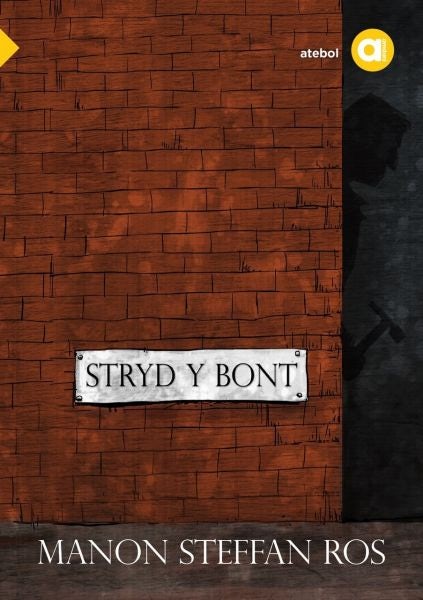 Cover image for Cyfres Amdani: Stryd y Bont, isbn: 9781912261444