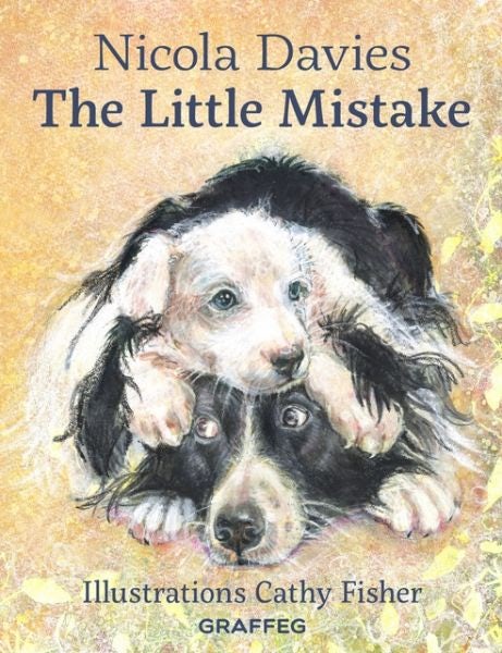 Cover image for The Little Mistake, isbn: 9781912654086