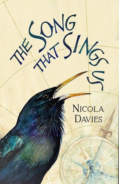Cover image for The Song That Sings Us, isbn: 9781913102777