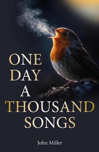 Cover image for One Day a Thousand Songs, isbn: 9781913159948