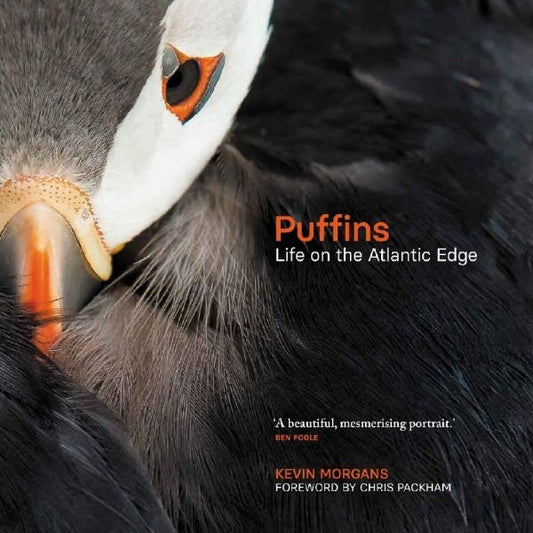 Cover image for Puffins: Life on the Atlantic Edge, isbn: 9781913207779