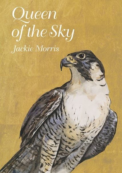 Cover image for Queen of the Sky, isbn: 9781913634773