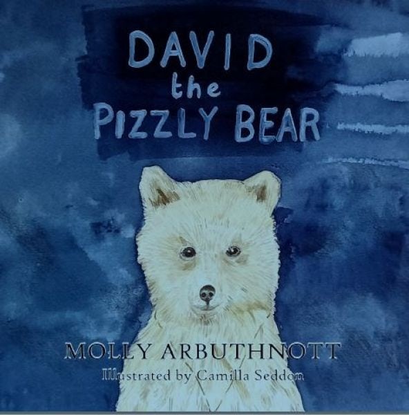 Cover image for David the Pizzly Bear, isbn: 9781913637477