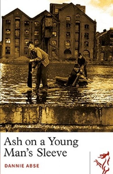 Cover image for Library of Wales: Ash on a Young Man's Sleeve, isbn: 9781913640118