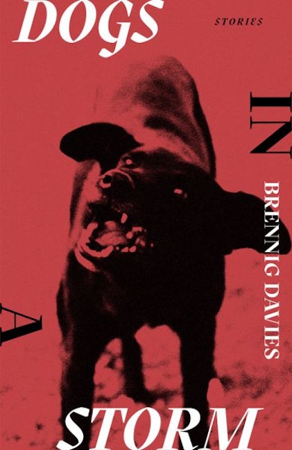Cover image for Dogs in a Storm, isbn: 9781913830526