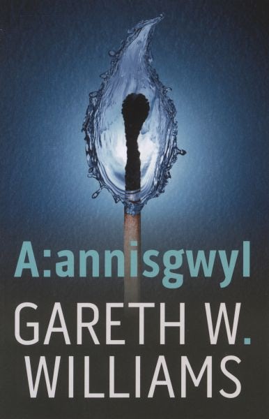 Cover image for A:Annisgwyl, isbn: 9781913996376