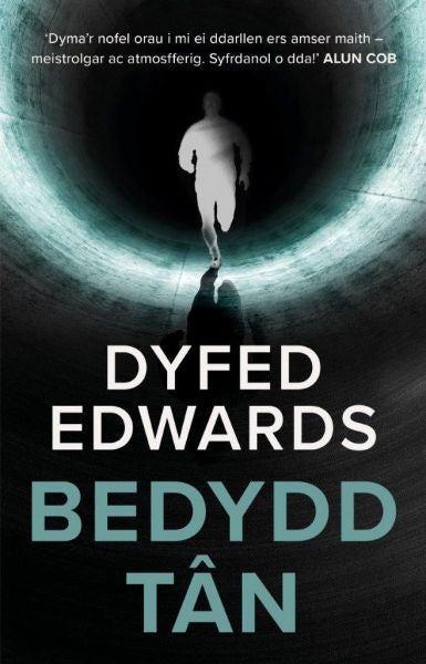 Cover image for Bedydd Tân, isbn: 9781913996482