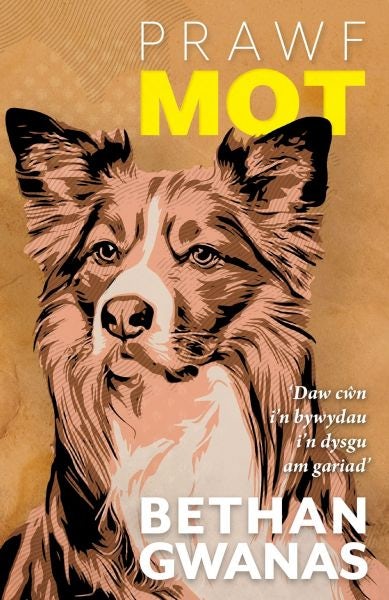 Cover image for Prawf Mot, isbn: 9781913996536