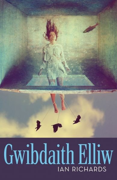 Cover image for Gwibdaith Elliw, isbn: 9781913996727