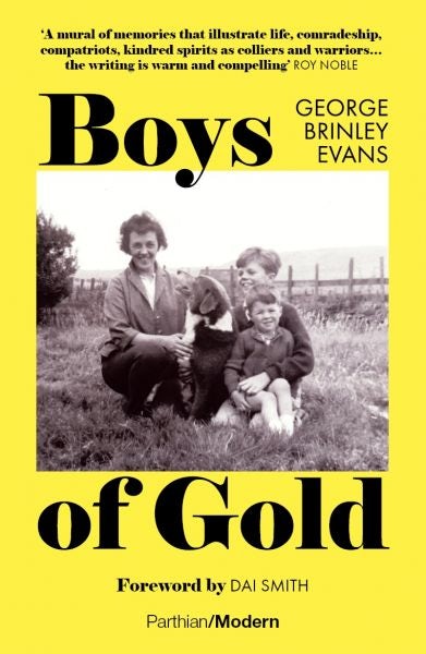 Cover image for Boys of Gold, isbn: 9781914595264