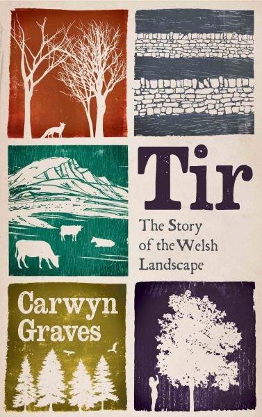 Cover image for Tir - The Story of the Welsh Landscape, isbn: 9781915279668