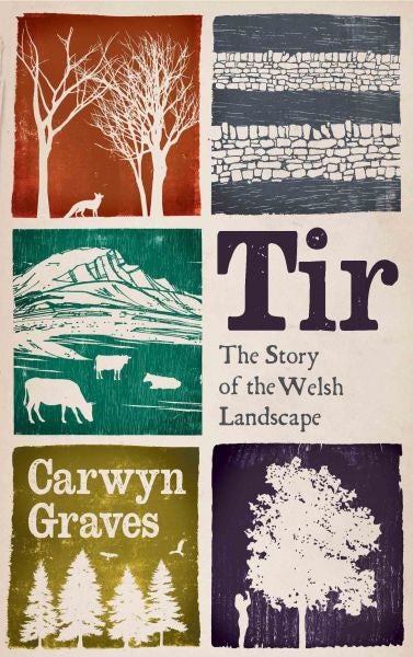 Cover image for Tir, isbn: 9781915279675
