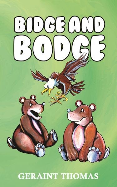 Cover image for Bidge and Bodge, isbn: 9781915439277