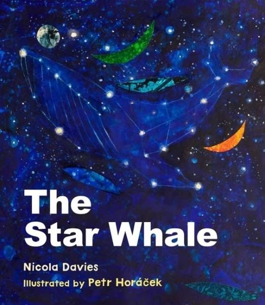 Cover image for The Star Whale, isbn: 9781915659095