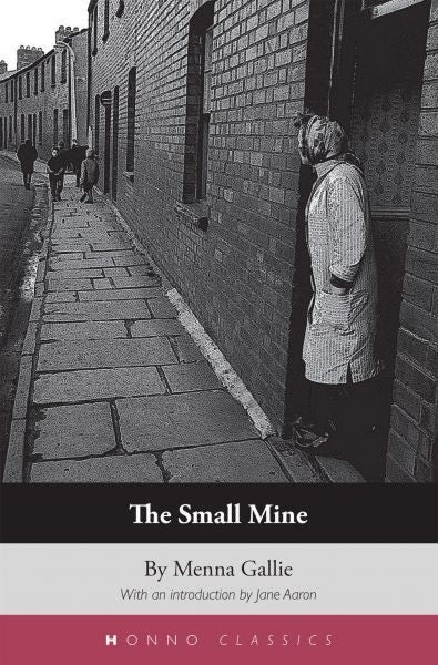 Cover image for The Small Mine, isbn: 9781916821163