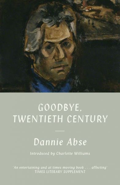 Cover image for Goodbye, 20th Century, isbn: 9781917140454