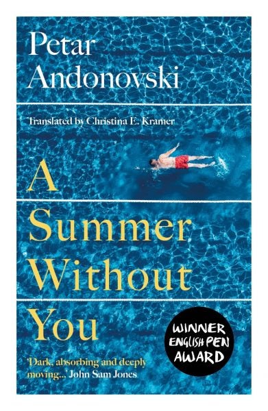 Cover image for A Summer Without You, isbn: 9781917140737
