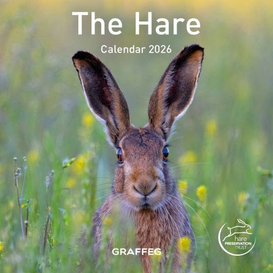 Cover image for The Hare Calendar 2026, isbn: 9781917467216